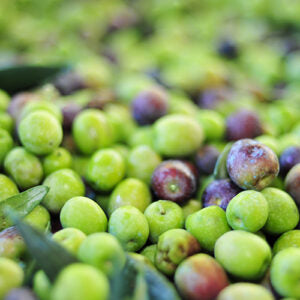 MItzie's Kitchen Chilean Arbequina Extra Virgin Olive Oil