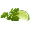 Mitzie's Kitchen Cilantro Lime Basalmic Vinegar