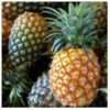 Mitzie's Kitchen Pineapple Basalmic Vinegar